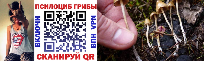 Псилоцибиновые грибы MAGIC MUSHROOMS  закладки  Северо-Курильск 